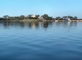 Mothia